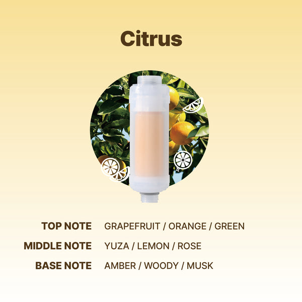 VitaPure Aroma Filter – Citrus    SUF-90C