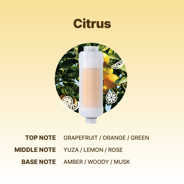 VitaPure Aroma Filter – Citrus    SUF-90C